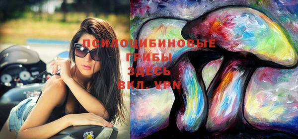 сатива Магадан