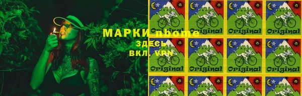 сатива Магадан