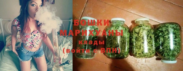 винт Магас